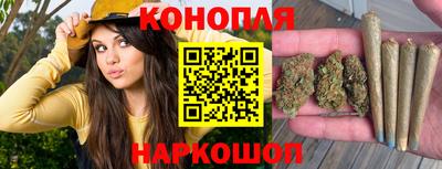 гашик Михайловка